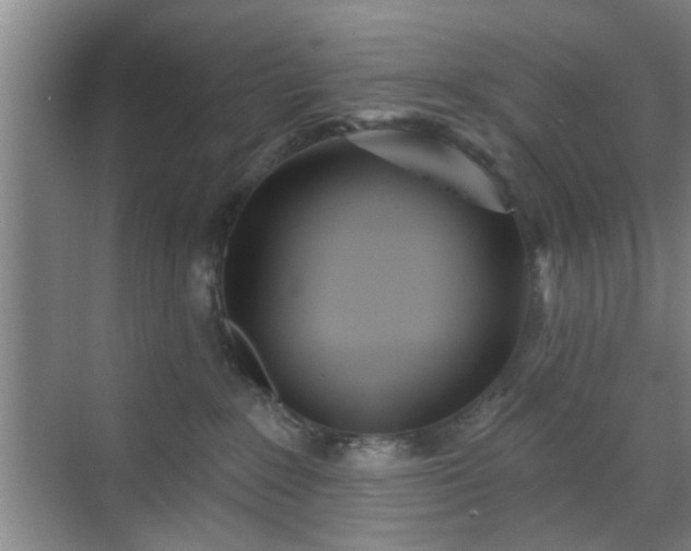 X0000070340235200606161259