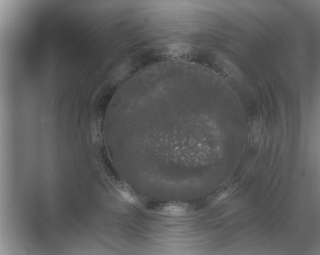 X0000070340236200606161258