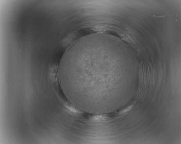 X0000070340237200606161258