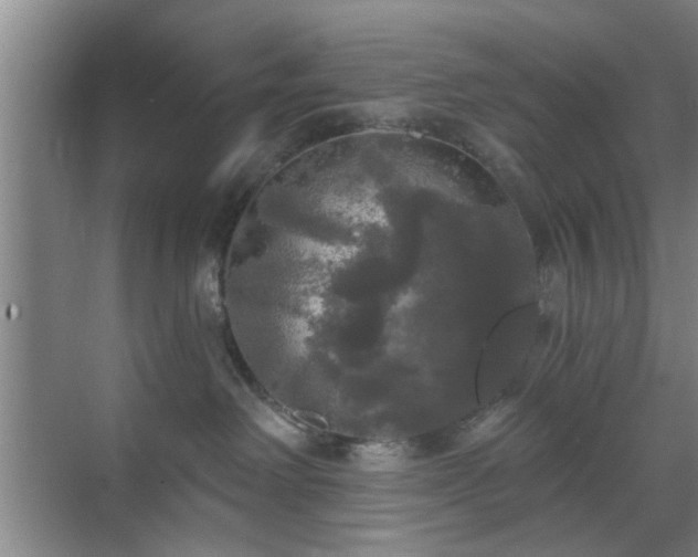 X0000070340238200606161258