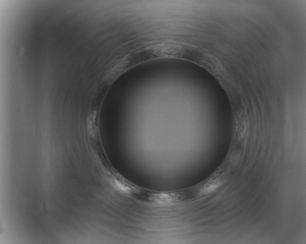 X0000070340239200606161258