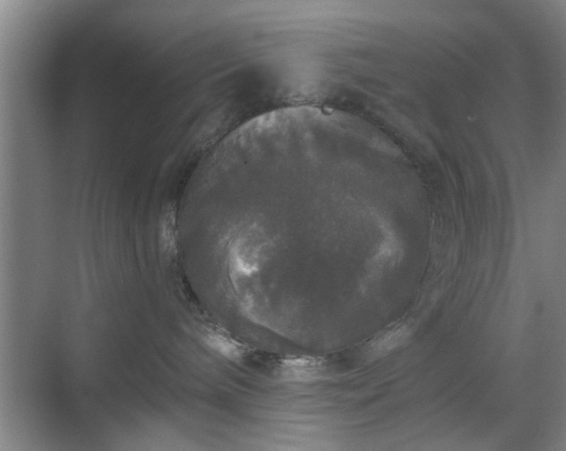 X0000070340240200606161258