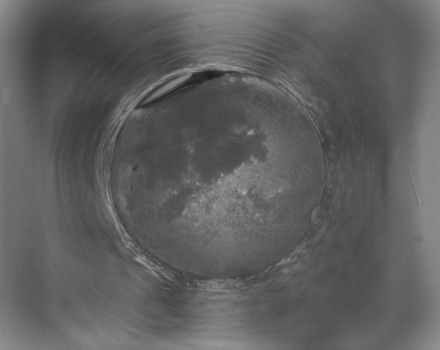 X0000070340241200606161258