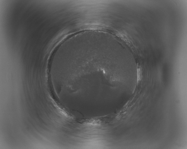 X0000070340243200606161258