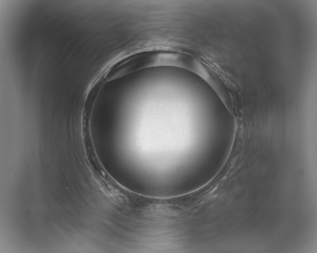 X0000070340244200606161258