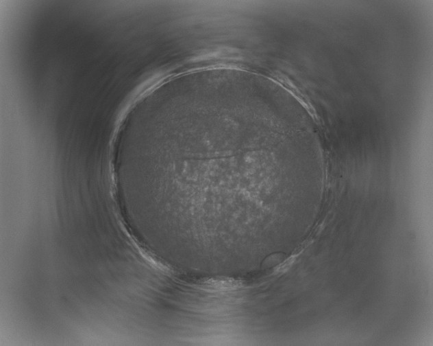 X0000070340245200606161258