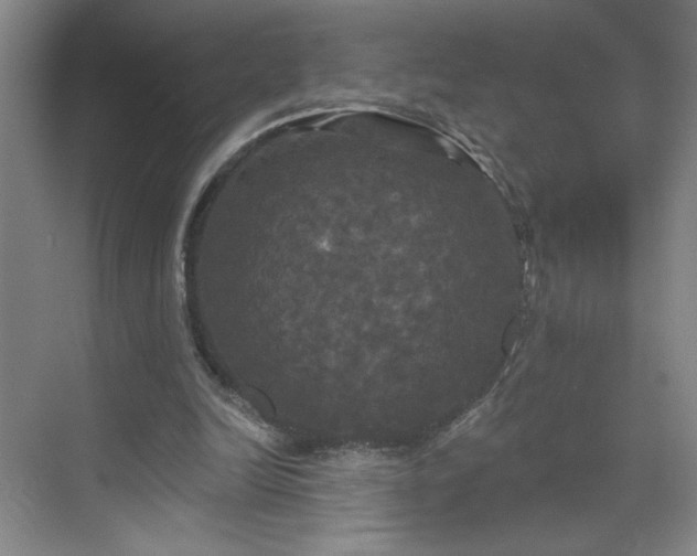 X0000070340246200606161258