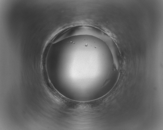 X0000070340248200606161258