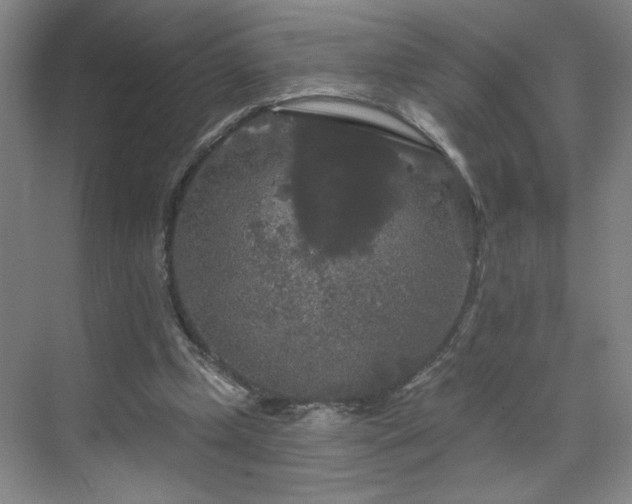 X0000070340249200606161258