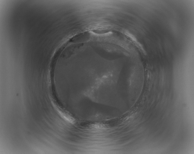 X0000070340250200606161258