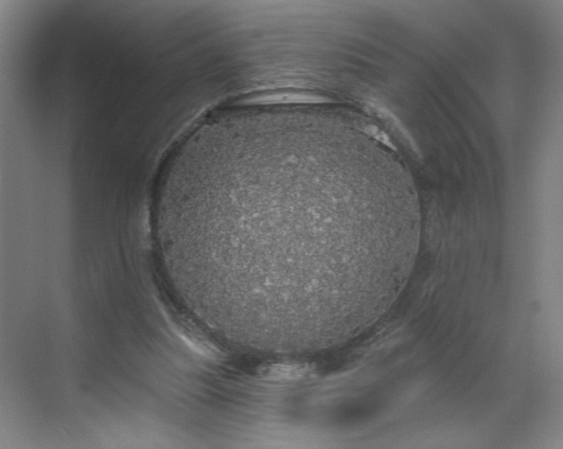 X0000070340251200606161258