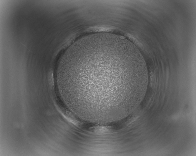 X0000070340254200606161258