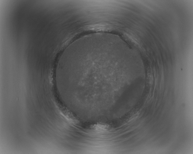 X0000070340255200606161258