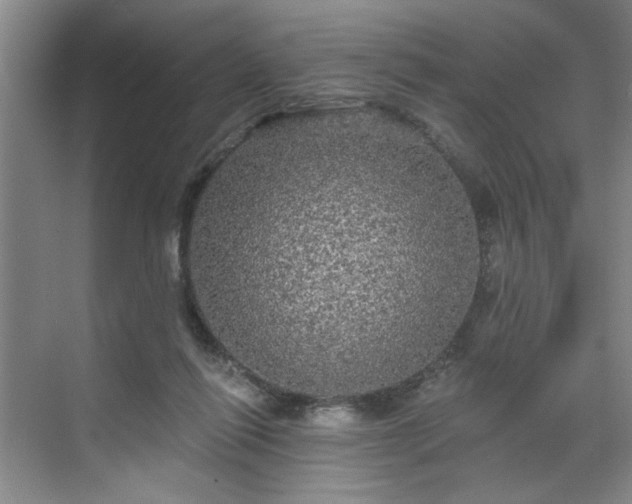 X0000070340262200606161258