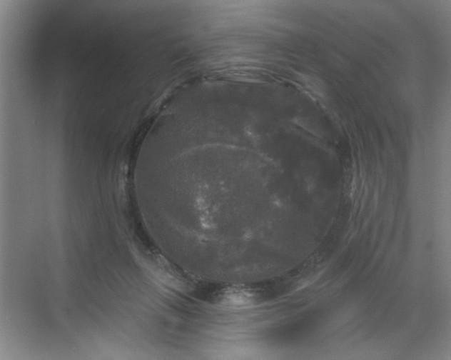 X0000070340263200606161258