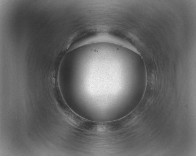 X0000070340264200606161258