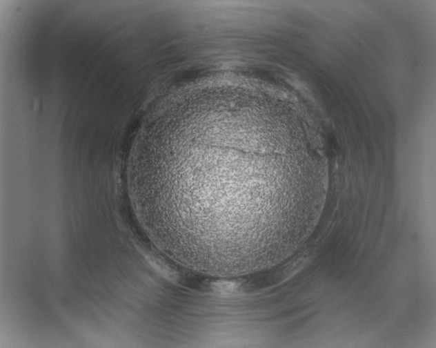 X0000070340265200606161258