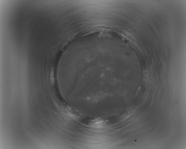 X0000070340267200606161258