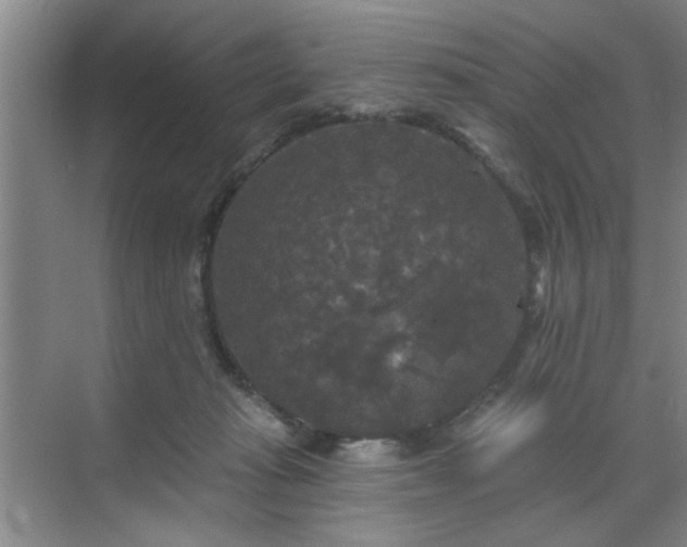 X0000070340269200606161258