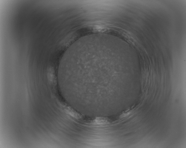 X0000070340270200606161258