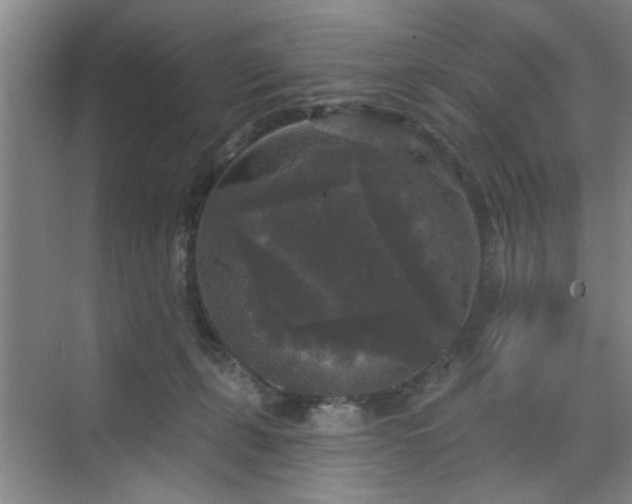 X0000070340271200606161258