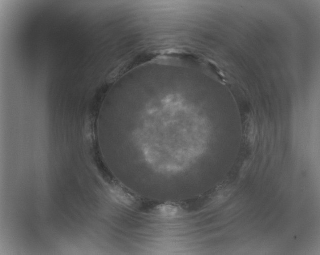 X0000070340272200606161258