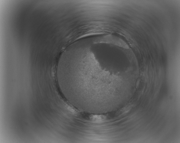 X0000070340277200606161258