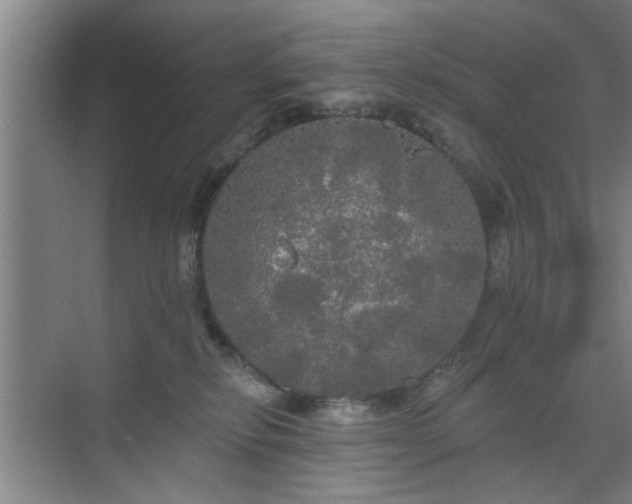 X0000070340278200606161258