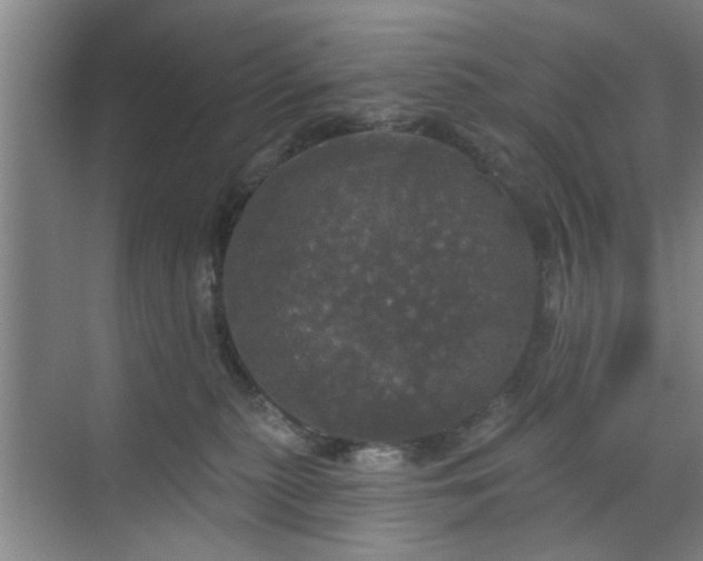 X0000070340279200606161258