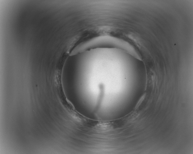 X0000070340280200606161258