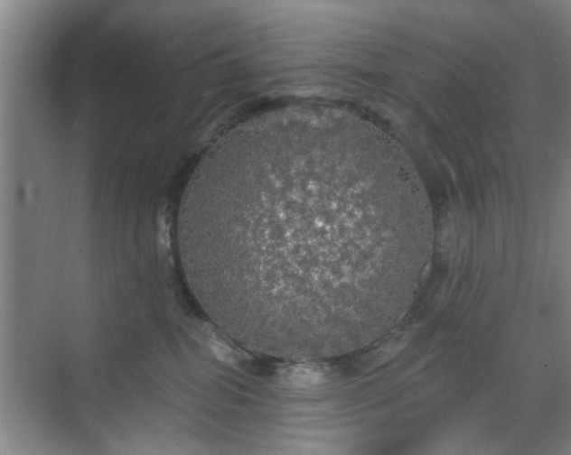 X0000070340282200606161258