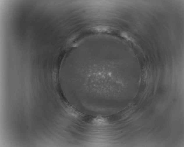 X0000070340283200606161258