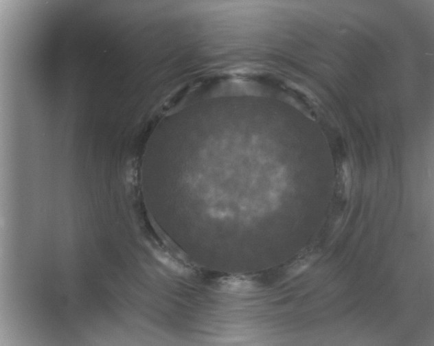 X0000070340284200606161258