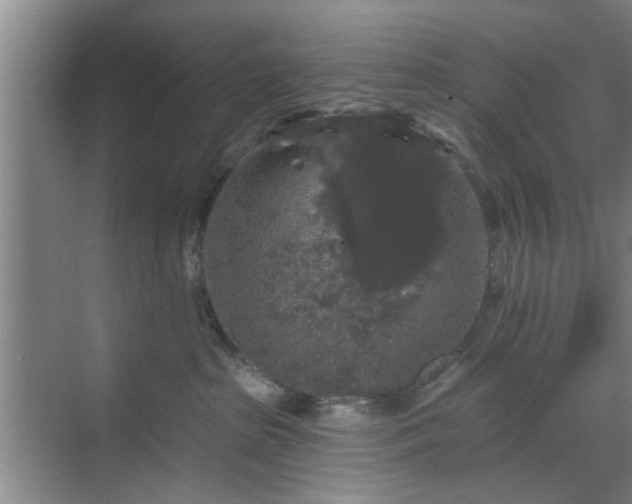 X0000070340285200606161258