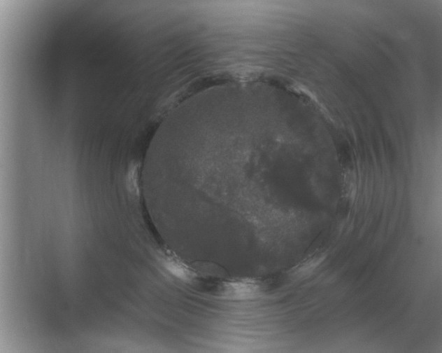 X0000070340286200606161258