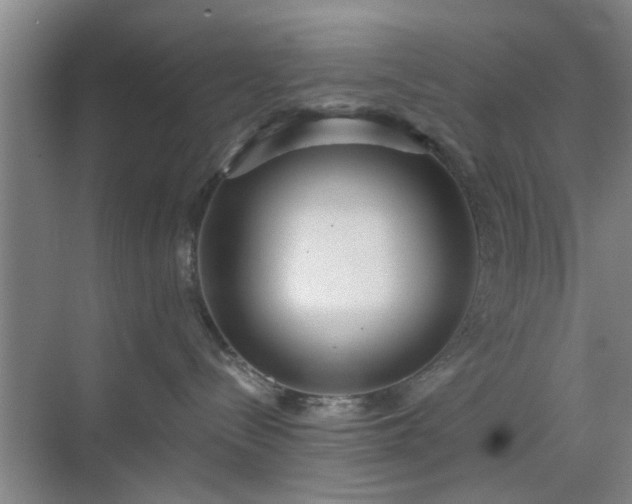 X0000070340288200606161258