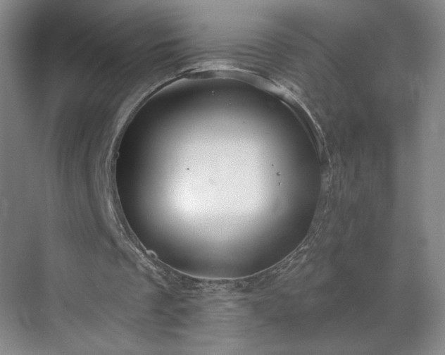 X0000070340289200606161258