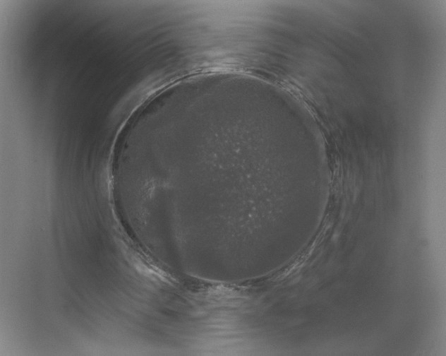 X0000070340290200606161258