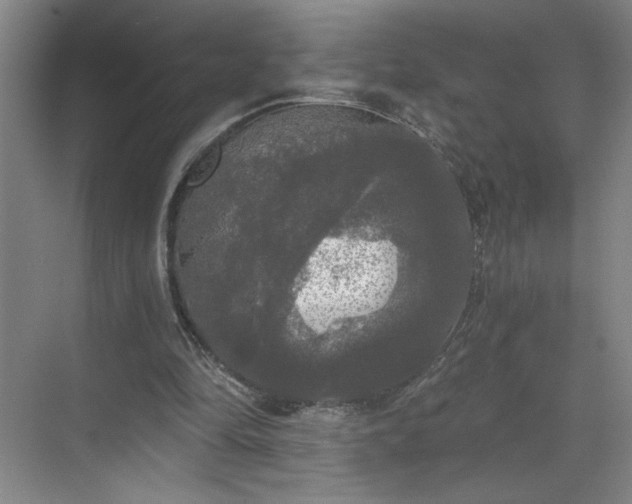 X0000070340294200606161258