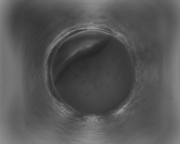 X0000070340295200606161258