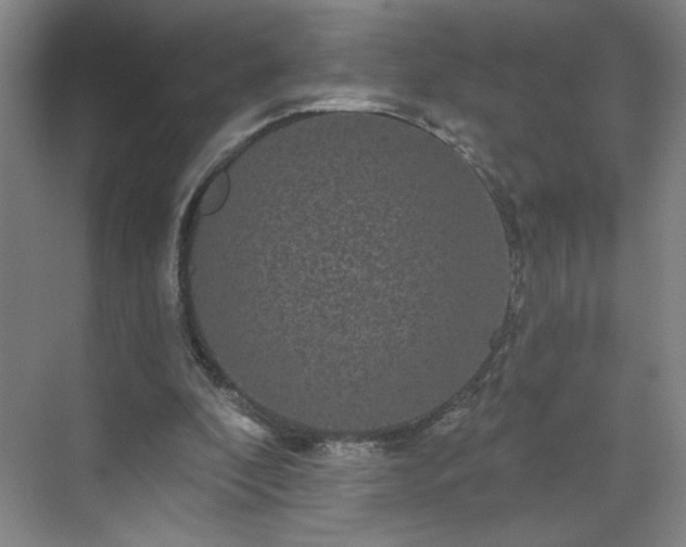 X0000070340296200606161257