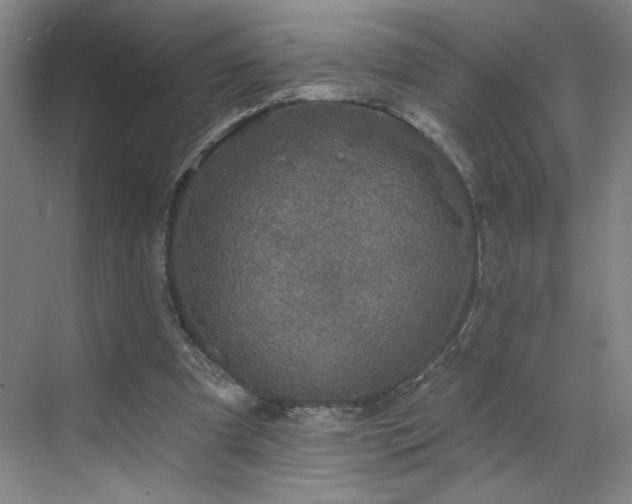 X0000070340297200606161257