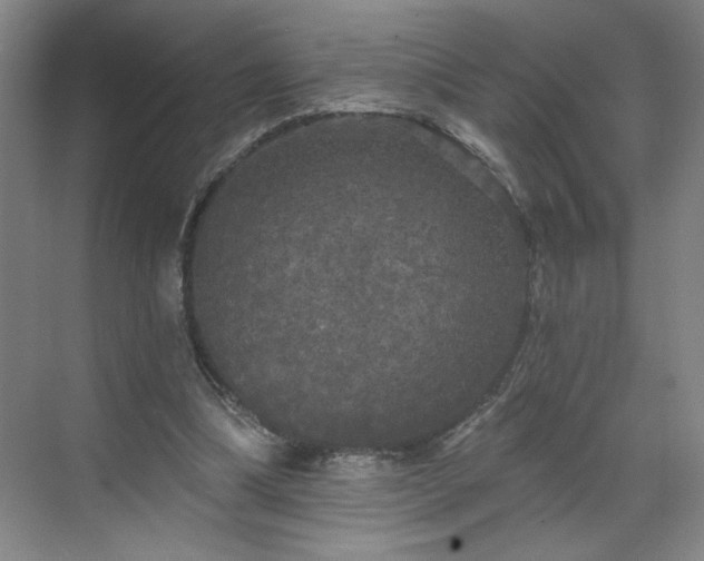 X0000070340298200606161257