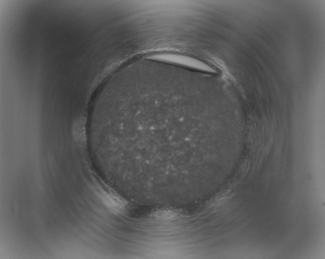 X0000070340299200606161257