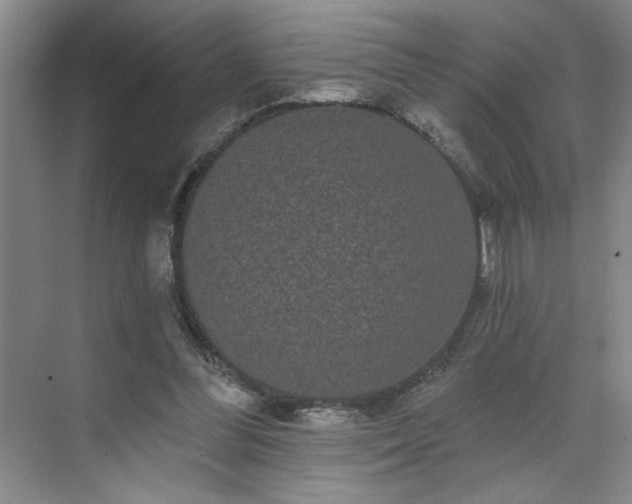 X0000070340300200606161257