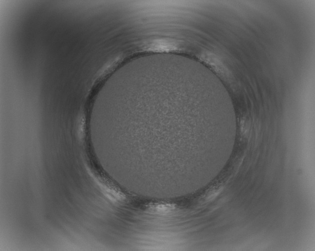 X0000070340304200606161257