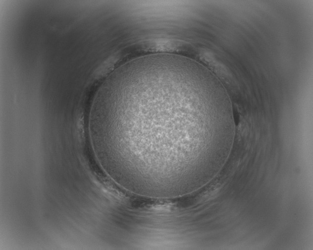 X0000070340306200606161257