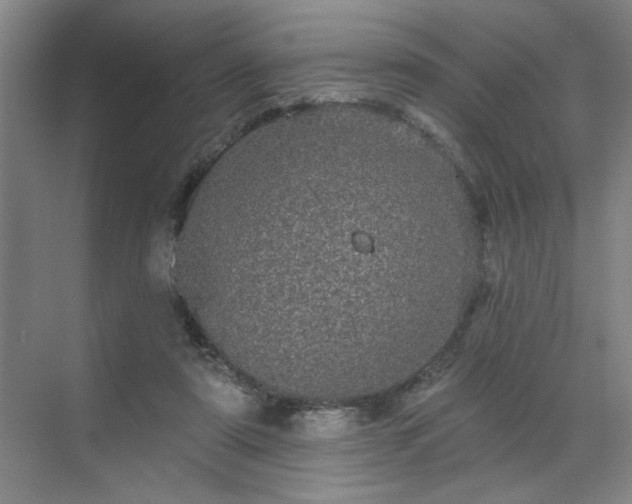 X0000070340307200606161257