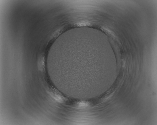 X0000070340308200606161257