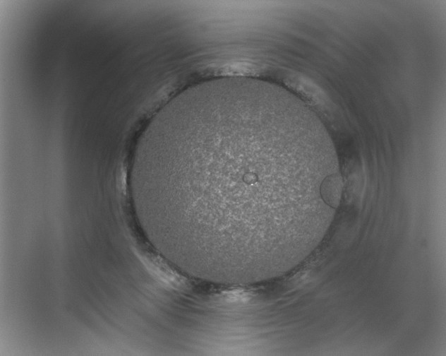 X0000070340310200606161257